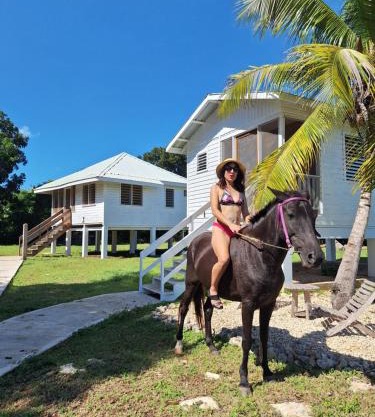 Horse Cottage