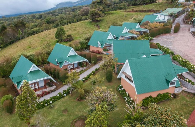 Hortensias Chalets Blanca 