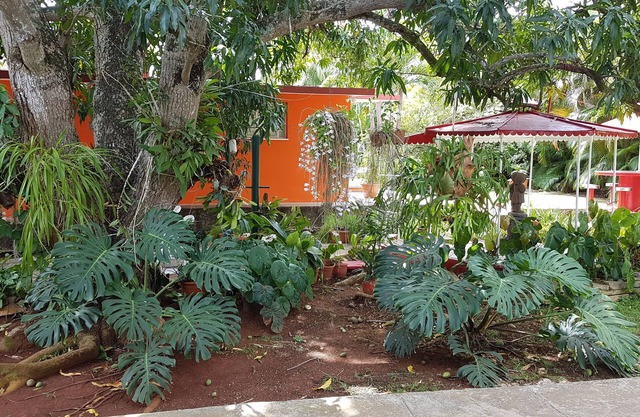 Hostal Doña Amalia Cuba
