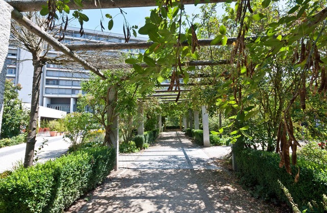 Hotel Bildungsblick