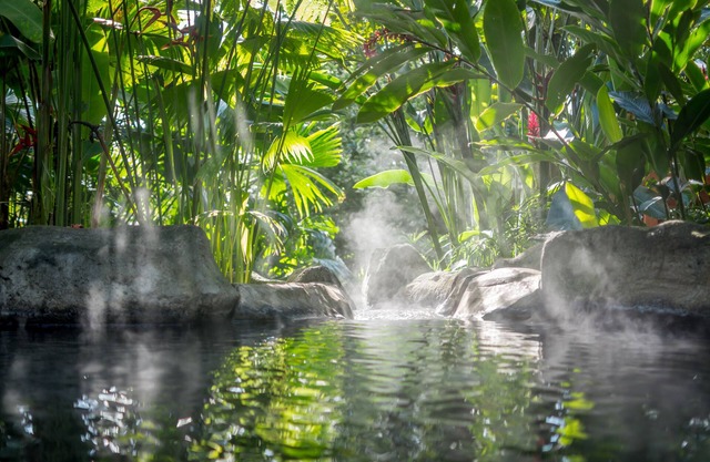 Hotel El Silencio del Campo