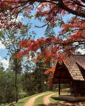 Hotel Fazenda Menino da Porteira
