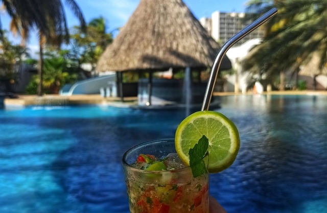 Hotel Margarita Village