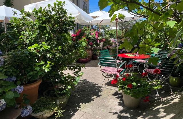 Hotel Mozart