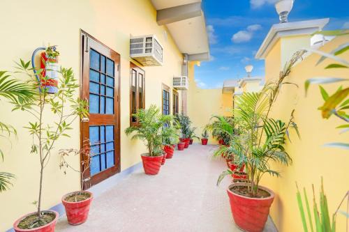 Hotel O Glory green farms and guest house