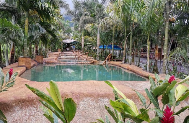 Hotel Palmera Real Hot Springs