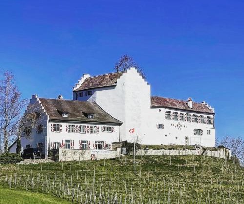 Hotel & Restaurant Schloss Schwandegg
