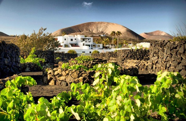 Hotel Rural Finca de La Florida