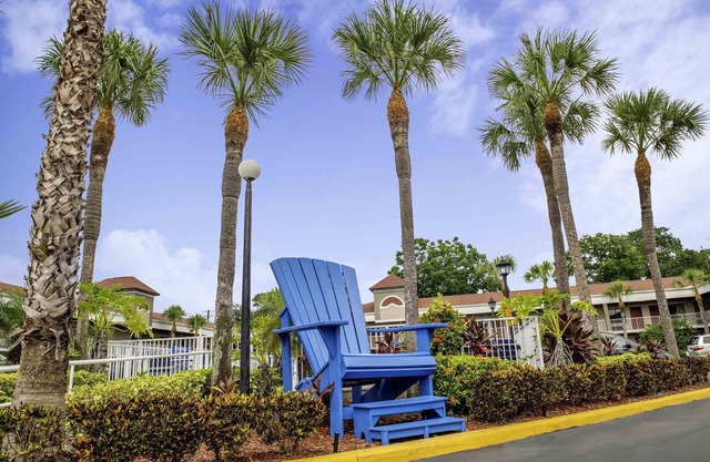 Hotel South Tampa & Suites