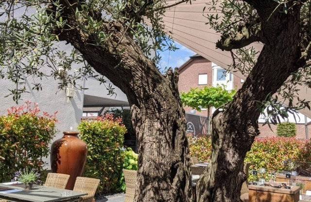 Hotel und Restaurant Schmachtendorf