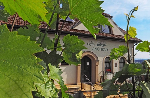 Hotel Vinohrad