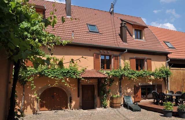House 6-10 pers. Alsace wine route Colmar agglomeration