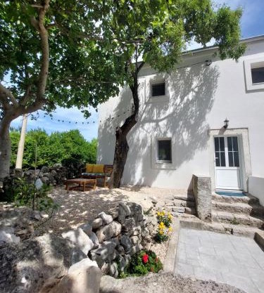 House Belej - Lola