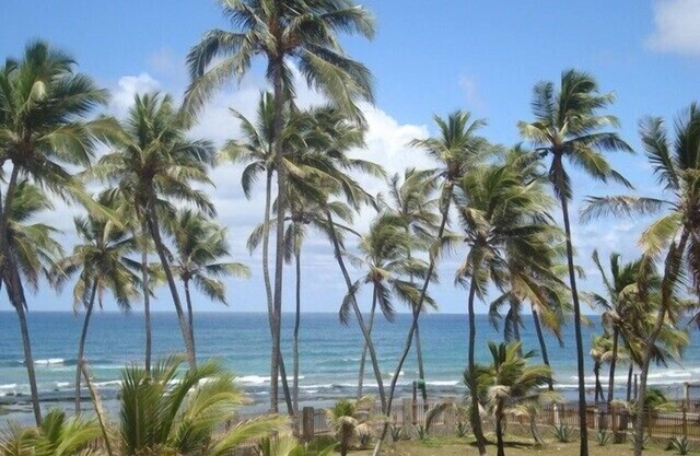 House by the Sea Bahia/Salvador