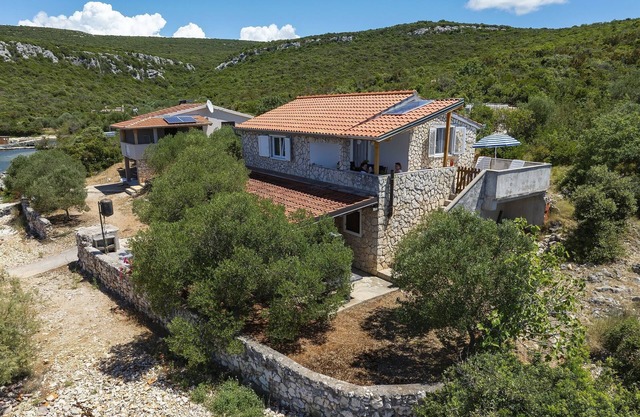 House Dolphin (23771-K1) - Tkon - island Pasman