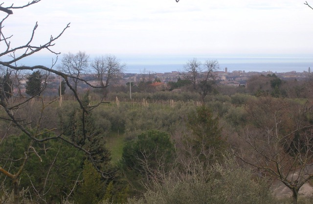 HOUSE FOR RENT IN THE COUNTRYSIDE