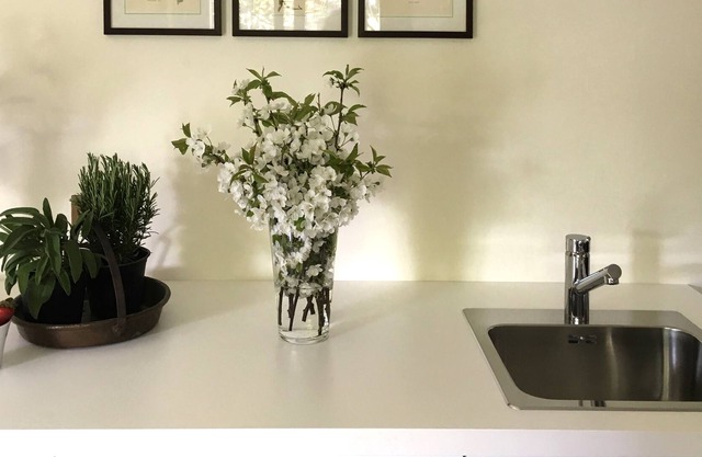 HOUSE & GARDEN near Policlinico San Donato, two-room apartment with garden