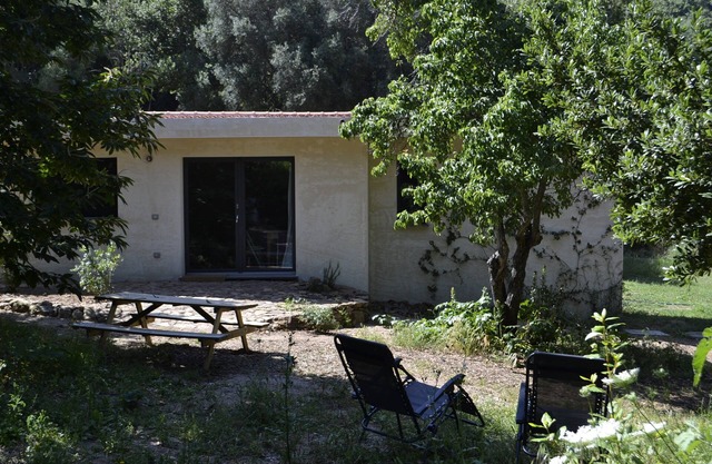 House in nature