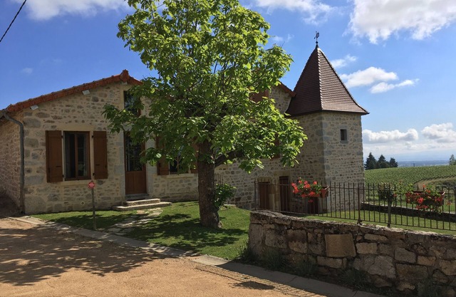 House in the heart of vineyards on a vineyard, Le Domaine de la Paroisse