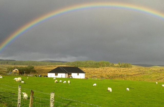 House on the Falls