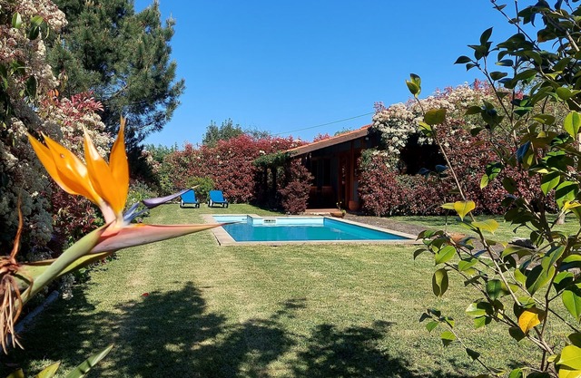 House Pereirinha - Caminha