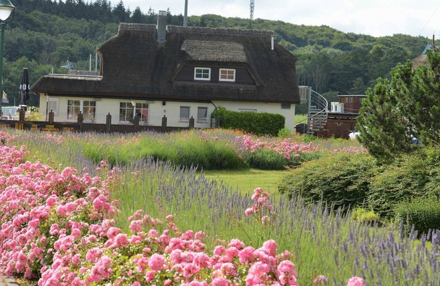 House Reef - App Reef