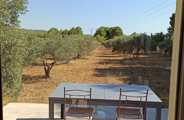 House T2 of 50m2, air-conditioned with terrace overlooking the olive trees