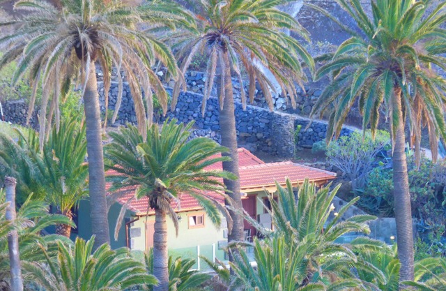 House the Pirguan. Your oasis in La Gomera