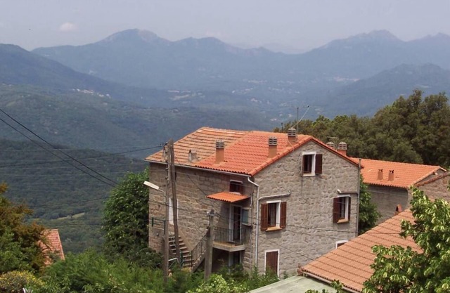House/Villa - Petreto Bicchisano