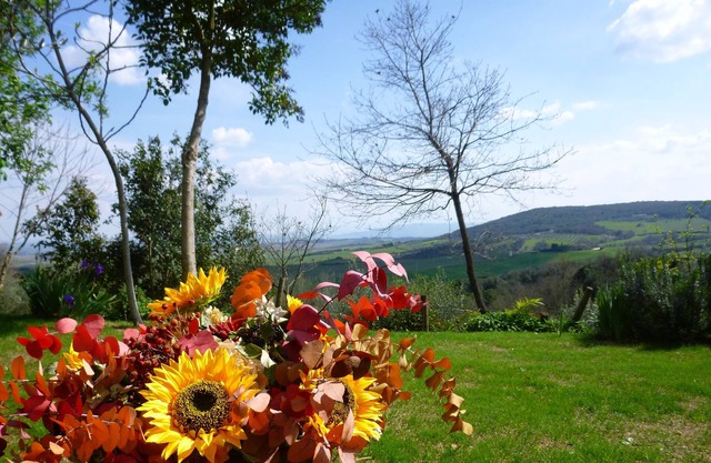 House with garden in the middle of etruscan hills