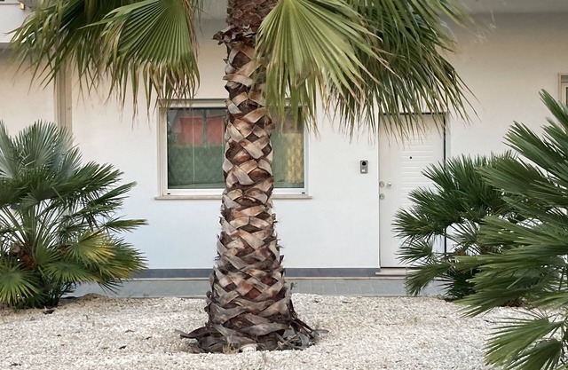 House with pleasant panorama