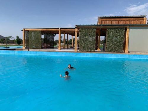 House with pools, Sun and Relax 10' to Huacachina