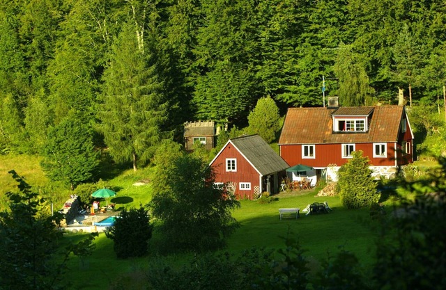 House with pool in the middle of nature!