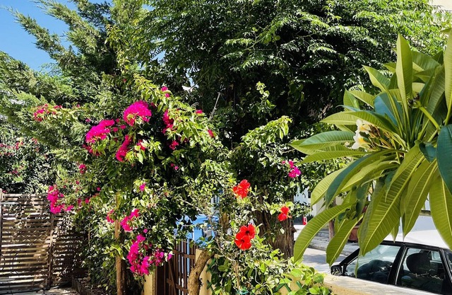 House with yard near the down town