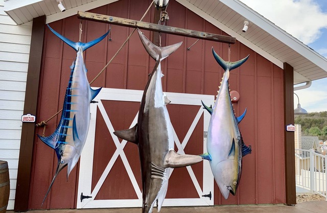 Huge 4BDR cottage sleeps 12 in Stormy Point Village. Great value.