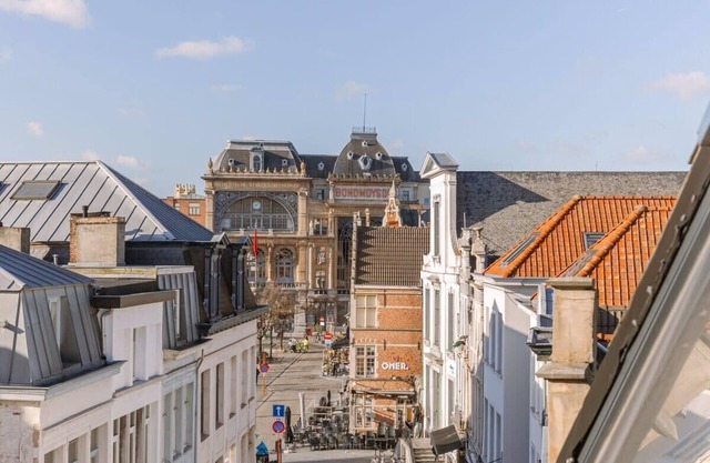 Huswell - Bright apartment overlooking the 3 towers of Ghent