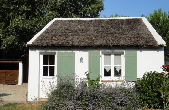 Hut 'camargaise' in border of pine forest: weekly or in the weekend