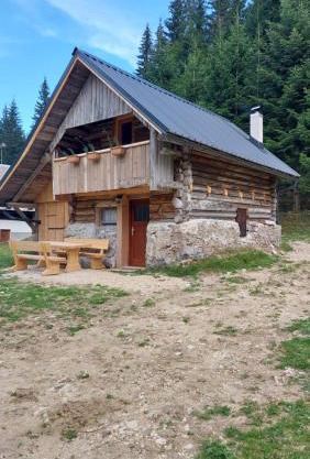 Hut Vaznik