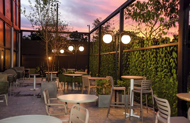 Ibis Tangara Da Serra