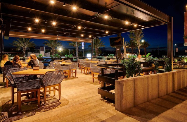 ibis Torreon