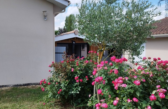 Ideal apartment near Bordeaux and amenities (shopping center, restaurants, cinema)