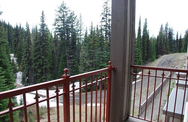 Ideal Pet Friendly Creekside Top Floor at the Base of the Silver Queen Chair