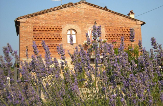 Ideal position for visiting Tuscany.private parking.owner at disposal.