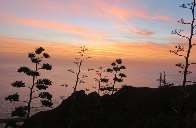 Ideal to rest and visit the island