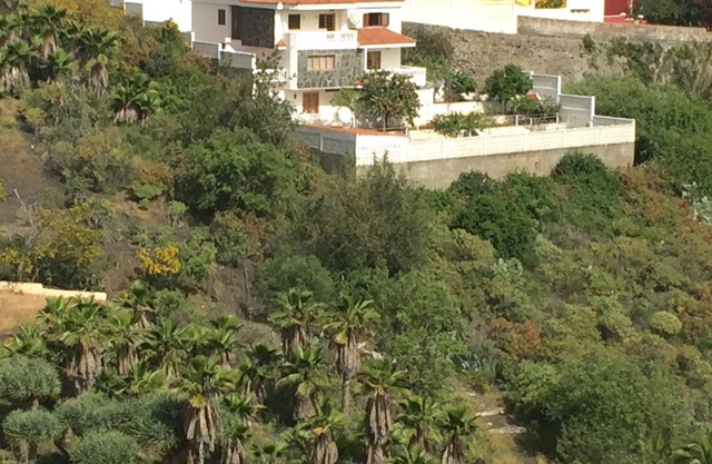 Idyllic vacation apartment New and modern, quiet location, with terrace and garden.