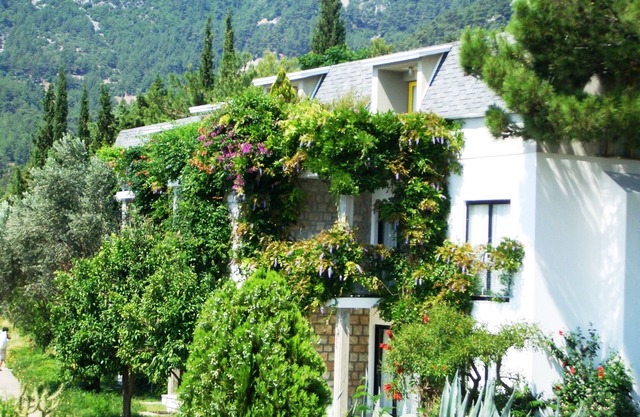If you can imagine relaxing under the olive trees sipping a Gin & Tonic!