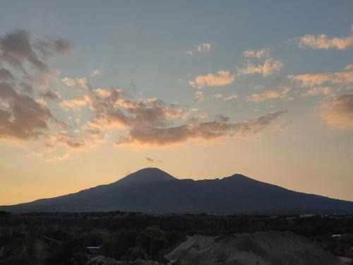 Il Melograno