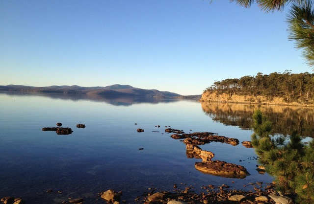 Impression Bay Lodge - Waterfront Property on the Tasman PeninsulanPet Friendly
