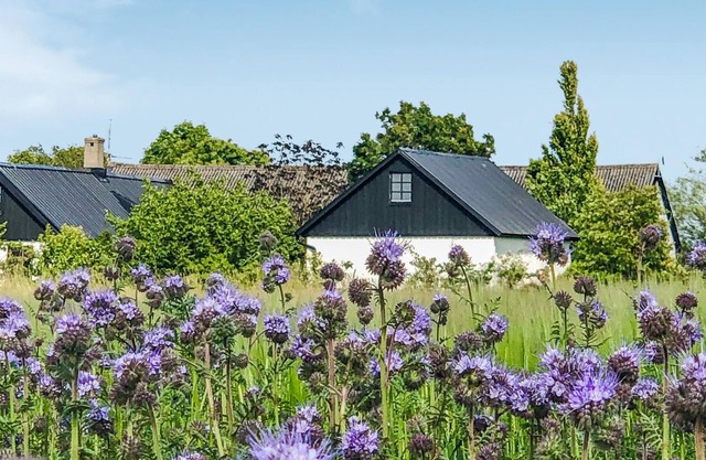 In an idyllic location in the Skåne countryside, this charming vacation home welcomes you.