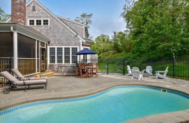 In-Ground Plunge Pool Dog Friendly!